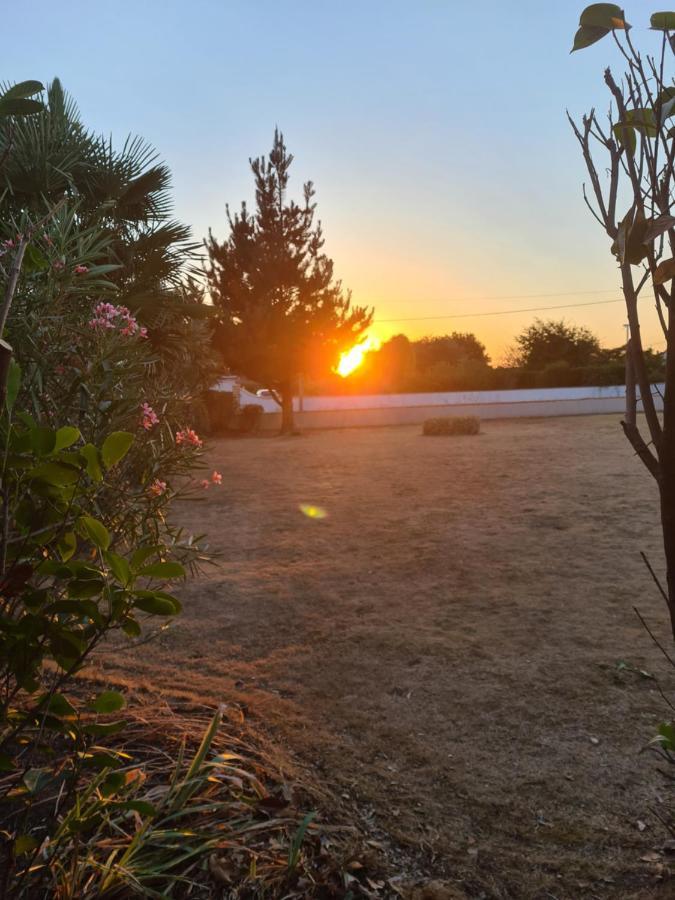 Ty Grain De Sel : Logement Privatif Avec Piscine, Jardin Et Patio Chauvé Dış mekan fotoğraf