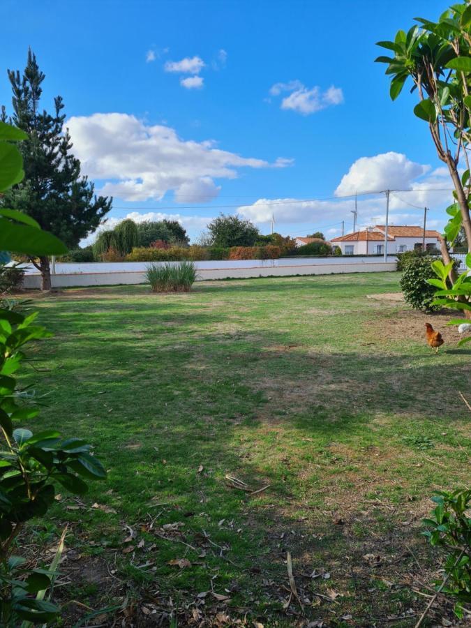 Ty Grain De Sel : Logement Privatif Avec Piscine, Jardin Et Patio Chauvé Dış mekan fotoğraf